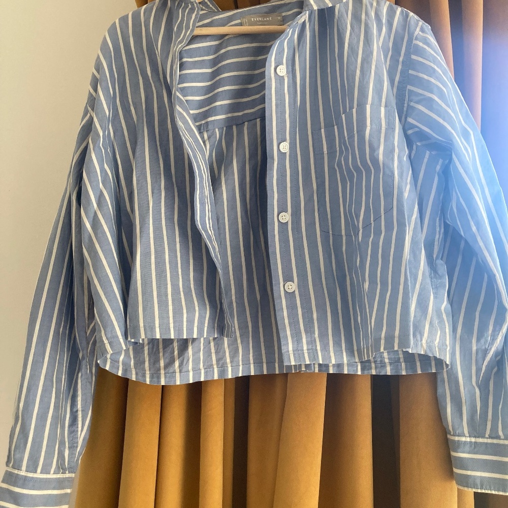 Everlane crop blouse